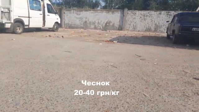 Цены на рынке в Копанях 31.07.2020 смотреть онлайн