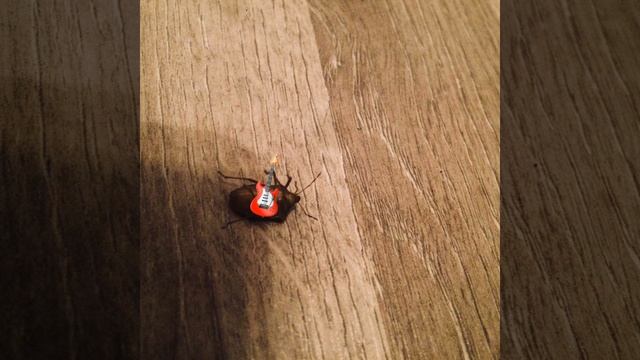 Cimice смотреть онлайн