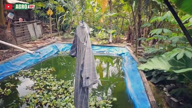 AGRO TIPI : ORANG-ORANGAN SAWAH смотреть онлайн