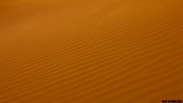 Не говорил ли Я тебе... | Alexey Ledyaev смотреть онлайн