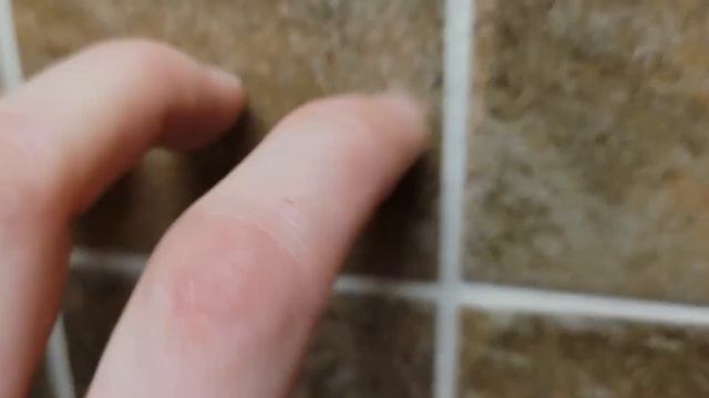 ASMR in the gym bathroom *lots of camera tapping* (no talking other than the intro) смотреть онлайн