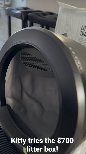 Kitty trying the $700 Litter Robot by Whisker смотреть онлайн