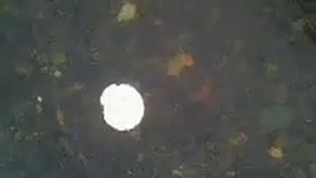 MOV0222A.avi смотреть онлайн
