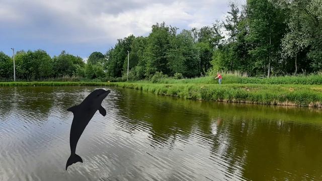 Ловим щуку! смотреть онлайн