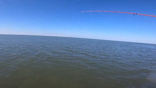 Mr. Omar landing his PB Redfish on The Prayer Fishing Lure - Bingo Flamingo. Port Mansfield, Texas смотреть онлайн