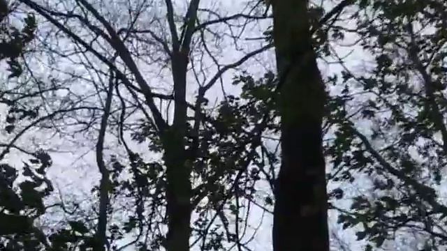 MVI 1687 06.05.2017 MOTIVE GEAR Lapin Kulta Adventure гонка "Эволюция" смотреть онлайн