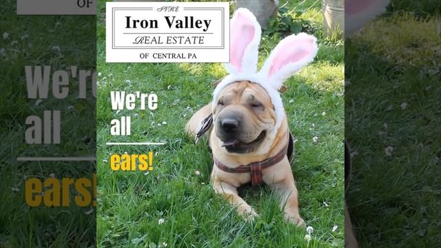 We're All Ears! смотреть онлайн