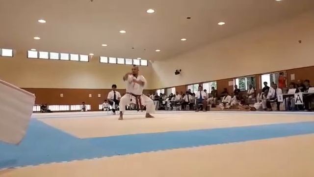 Sanseiryu kata Uechi ryu / final Championship series All Okinawan karate 2018 смотреть онлайн