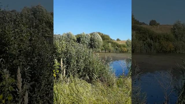 Огульцы, окрестности смотреть онлайн