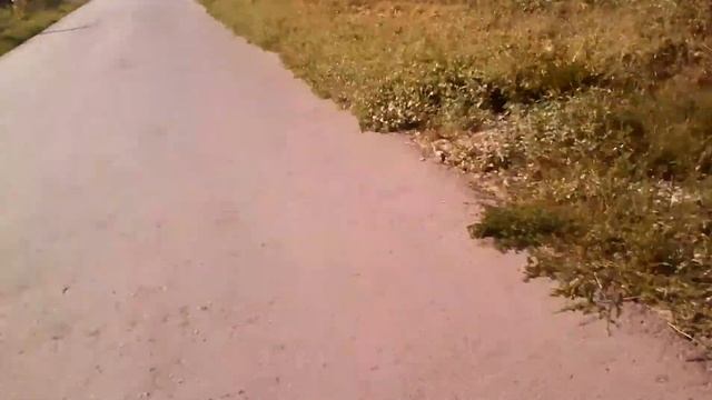 Сталк:Призрачный Дом Часть 2 смотреть онлайн