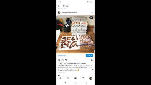 Felts Farm Adventure - Butchering a Longhorn Cow Yourself смотреть онлайн