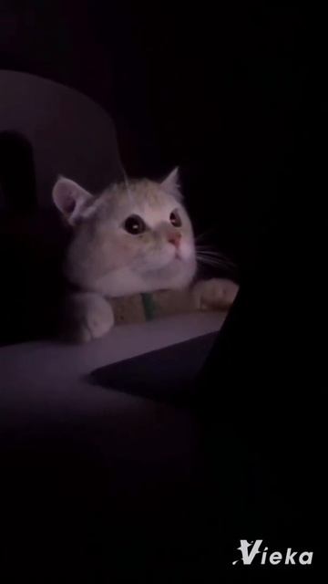 AHHHHHHHHHHH😭😭😱😖 смотреть онлайн