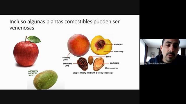 Botánica Cotidiana: Plantas venenosas смотреть онлайн