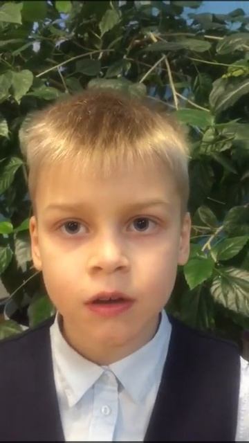 Отзыв учащегося ГБПОУ ЗКНО о стихотворении Н. Некрасова 