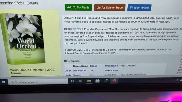 AN ORCHID A DAY EP 385 I HOW TO RESEARCH ORCHID HYBRIDS AND POTTING UP A BIG LATOURIA ORCHID смотреть онлайн