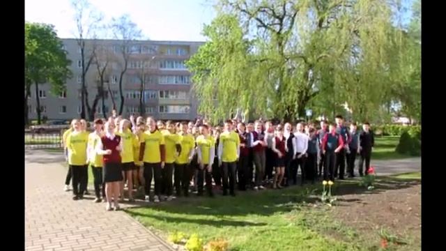 Посади свой лес смотреть онлайн