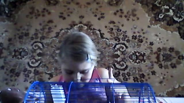 Мои две крысы🐀🐀🐀🐭🐭🐭🐁🐁🐁 смотреть онлайн