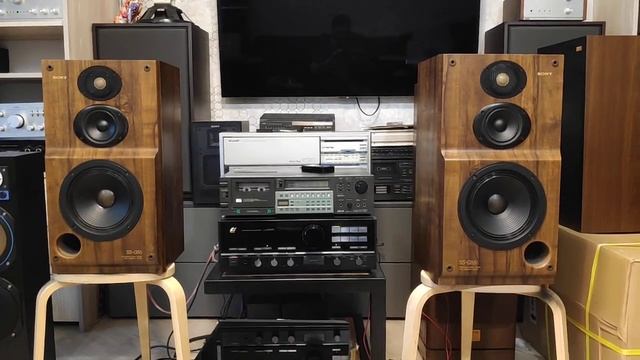 SONY G55