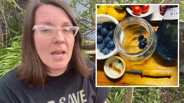 Should We Use Grafted Fruits for Food Forests? Why Some of My Fruit Trees Are On Their Own Roots смотреть онлайн