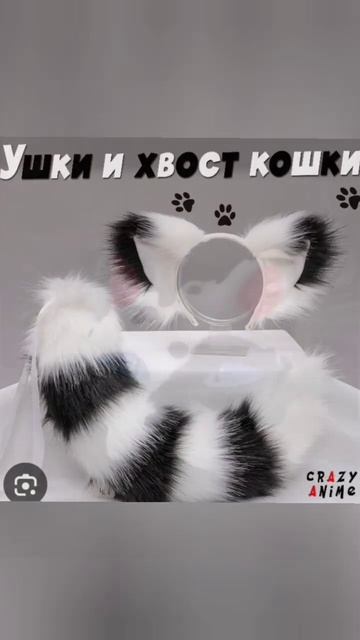 черно белая кошка #видеомоё #квадробика #териан смотреть онлайн