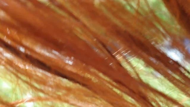 Нежное смотреть онлайн