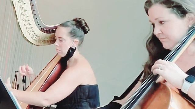 The Swan | Le Cygne | Carnival Of The Animals | Saint-Saëns | Harp And Cello | #romanticmusic