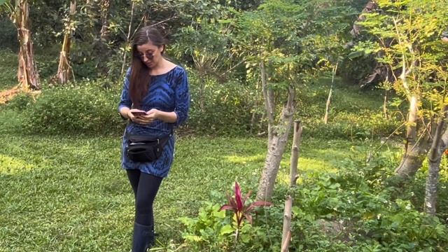 Amanda Pike: Moringa in the food forest. смотреть онлайн