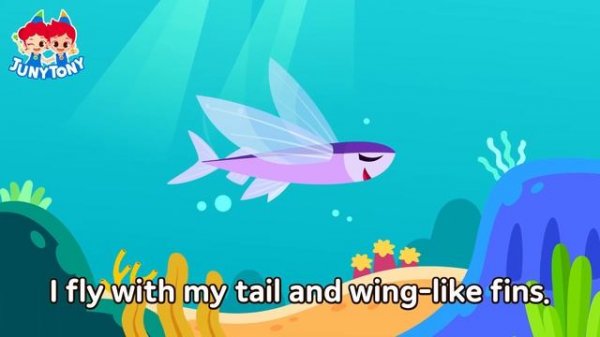 Awesome Sea Animals | Meet Sea Animal Friends | Animal Song for Kids | Kindergarten Song | JunyTony