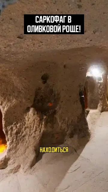 Саркофаг в оливковой роще! смотреть онлайн