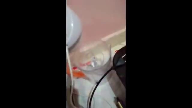 هميزات لا تعوض🚨ماريو 800د💥 طابلة 200د💥 لاهوت 250د 💥 صالة مونجي 💥 طبلوات 💥تلامط 💥بوسيط،، смотреть онлайн