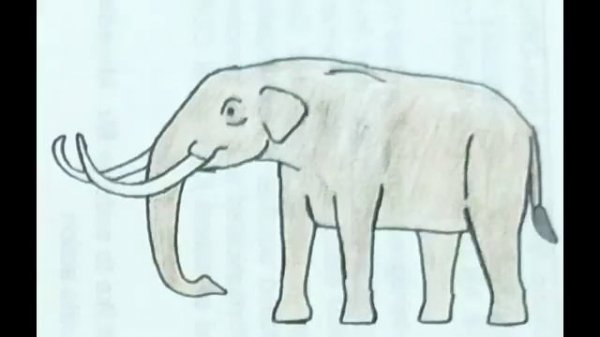 stegomastodon, Cuvieronius Notiomastodon and American Mastodon Sound effects