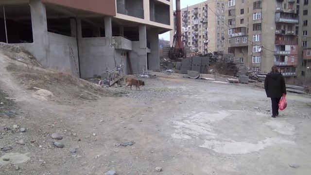 Поездка к зоозащитникам в Вашлиджвари смотреть онлайн