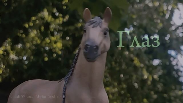 🌱Schleich Music Video🌱//Современный клип по песни -"Грусть ночей"//Сны Саламандры//@Alpha_Wolfys смотреть онлайн