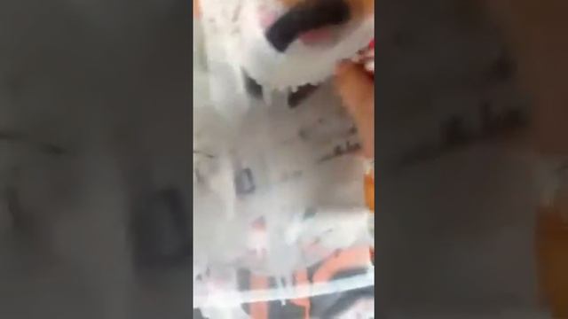 Belton molotow premium reveiw смотреть онлайн