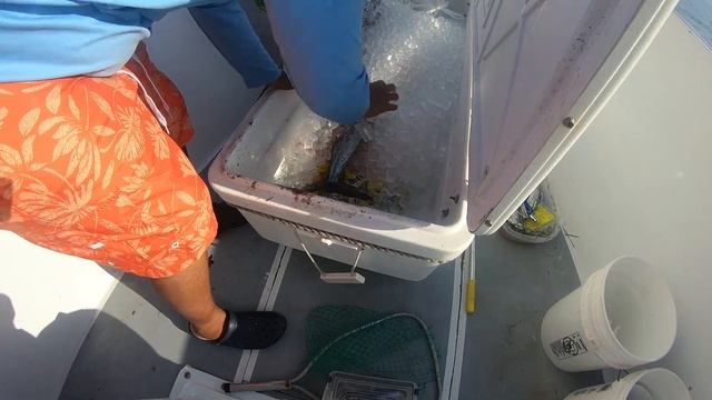 Cayman Islands International Fishing Tournament 2018 Team Who's Ya Daddy смотреть онлайн