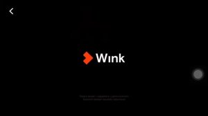 Wink intro
