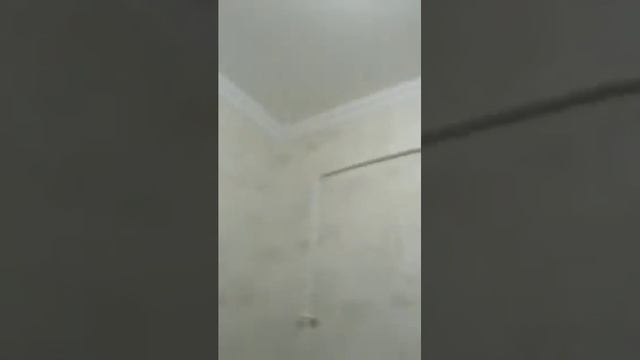 The guide in new apartment in Tashkent by Sam смотреть онлайн