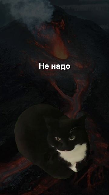 А какое самое длинное слово на английском вы когда-либо встречали? 🤔 смотреть онлайн