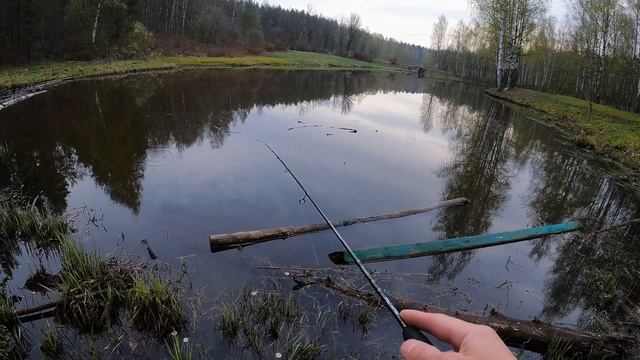 Мормышинг удивил!Ловля щуки и окуня.Рыбалка в Ленинградской области#мормышинг #рыбалка#crazyfish