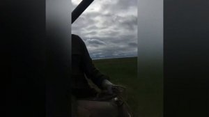 Анаабыр Кэскилээнэ Туприна