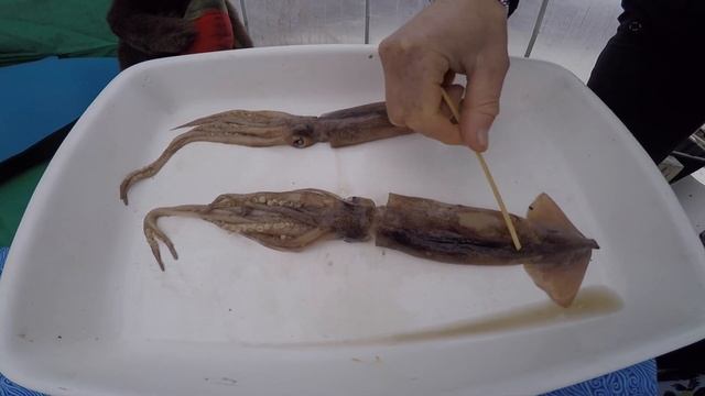 Armhook Squid смотреть онлайн