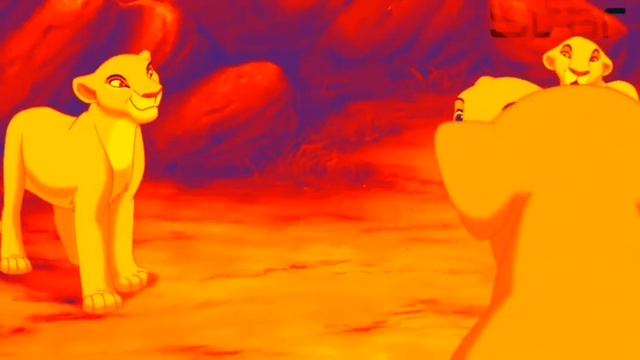 Kiara & Scar|Слеза