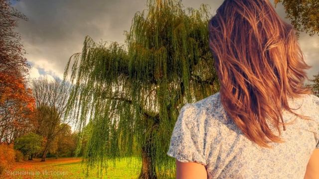 Ради любимой женщины лось вышел за помощью к людям смотреть онлайн