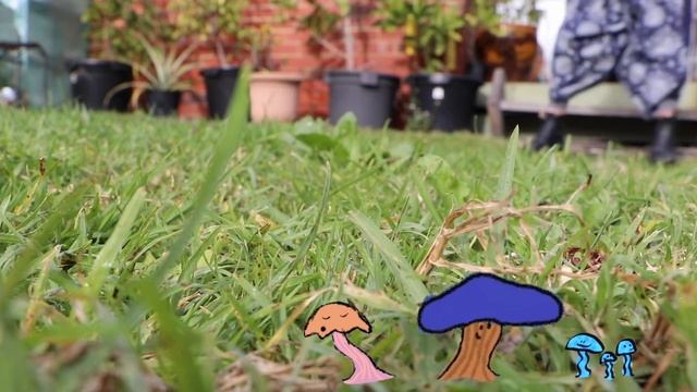 celia celia - dancing mushrooms (Official Video) смотреть онлайн