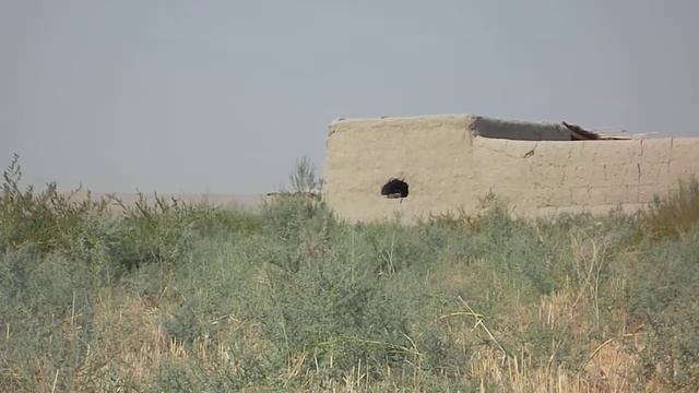 A. 2. in Afghanistan 4 смотреть онлайн