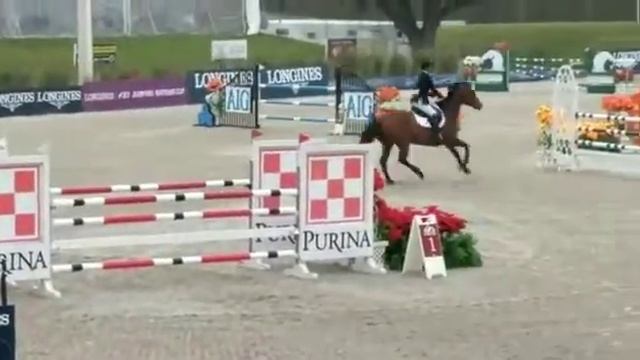 Catwalk Calais 1.35 Hits Classic