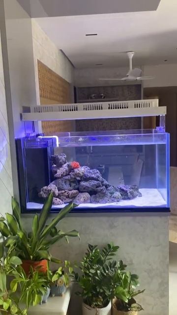 Coming soon смотреть онлайн
