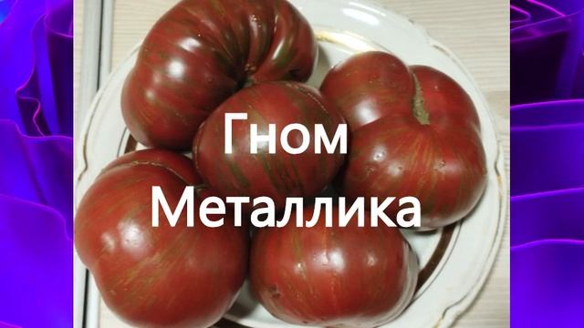 Каталог томатов на 2024 год Гномы томатные. Часть 2. г. Киров. смотреть онлайн