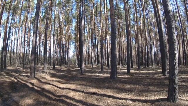 С Байкалом зайца погонял и ч. 1 смотреть онлайн