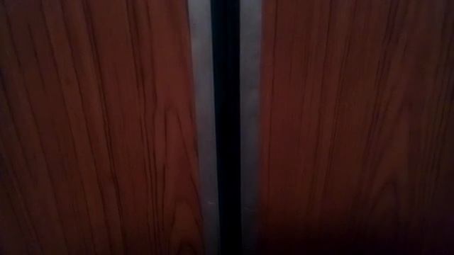 Электрические лифты (КМЗ-1985) г. Москва, Перовская, 29к1, п-2 (11.04.2017) смотреть онлайн